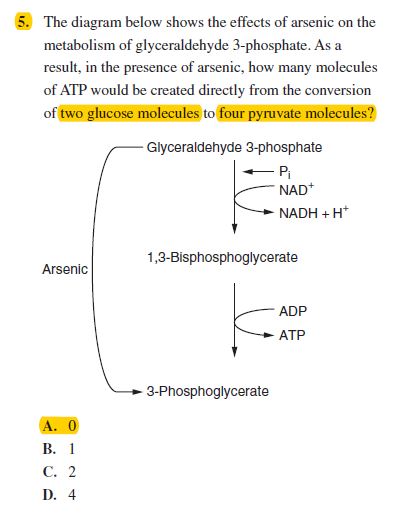 glycolytic pathway! - Homework Help - Science Forums