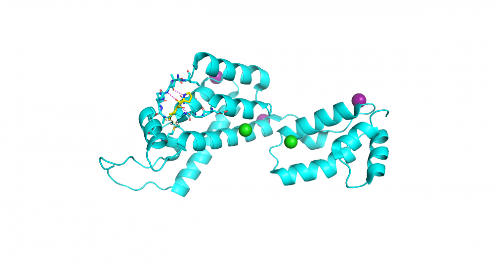 HIV-1 capsid active site - attempt 1.png