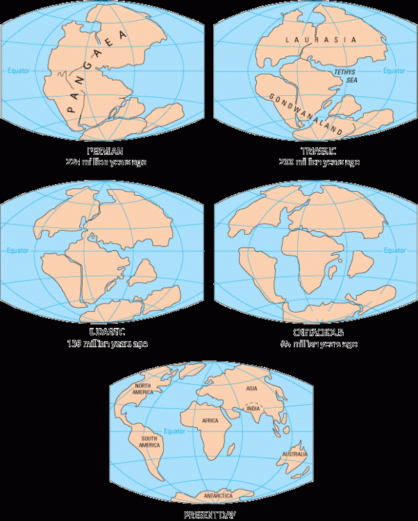 Pangaea_to_present.thumb.gif.f71d93d6339e9d8e2c8bec72872c24a7.gif